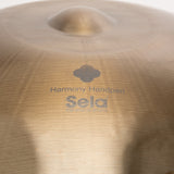 Sela SE202 Harmony Stainless Handpan D Amara with Bag