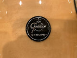 Gretsch RN2-0913T-GN Renown Series 9x13" Rack Tom in Gloss Natural
