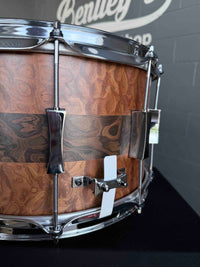 ~NEW!~ Pork Pie Decaf Macchiato Maple 8x14 Snare Drum in Satin Burled Walnut with Sapele Stripe