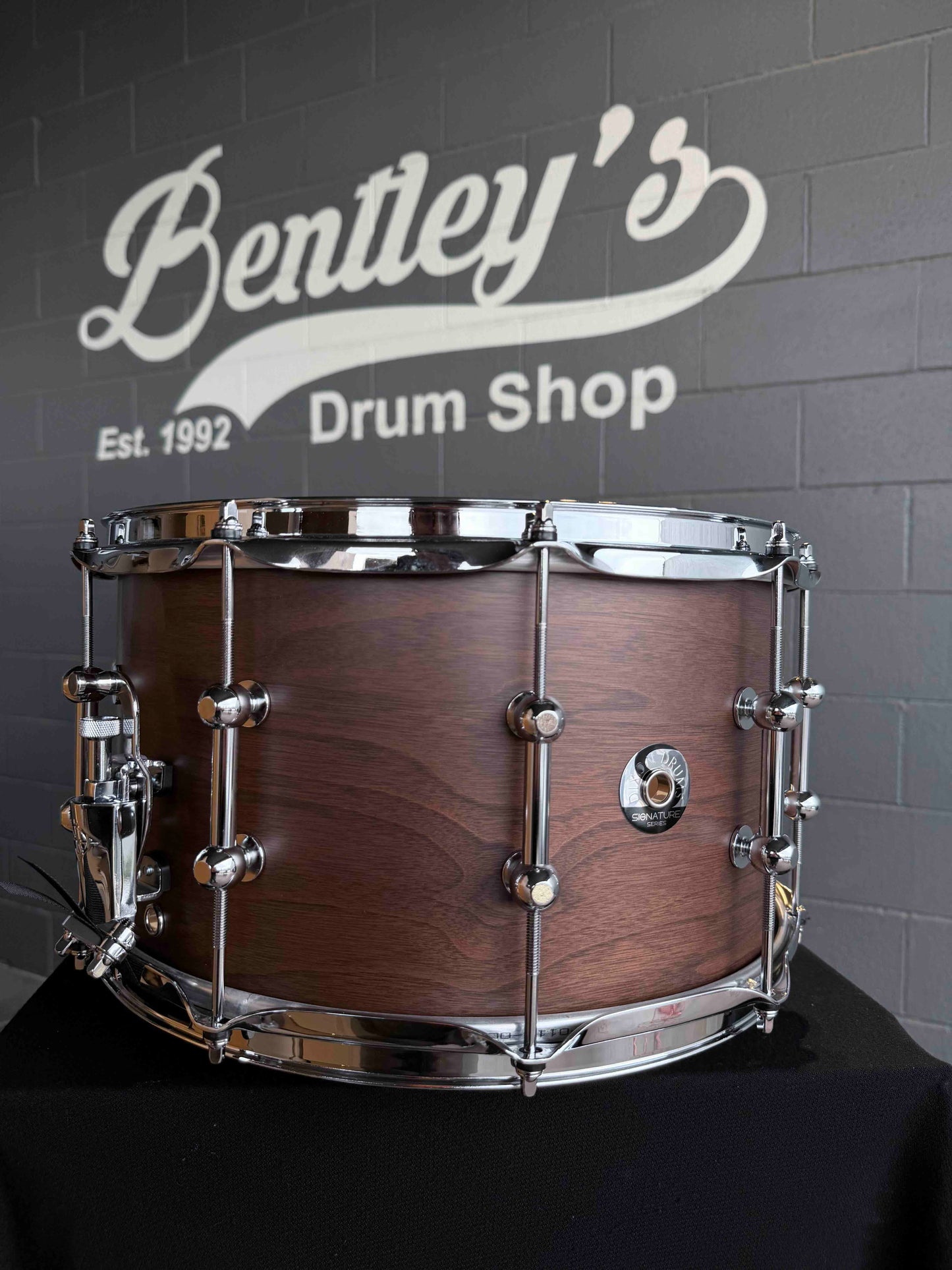 ~NEW~ Dixon Gregg Bissonette 'Big Bud' Signature 8x14 Walnut Snare Drum in Natural Satin