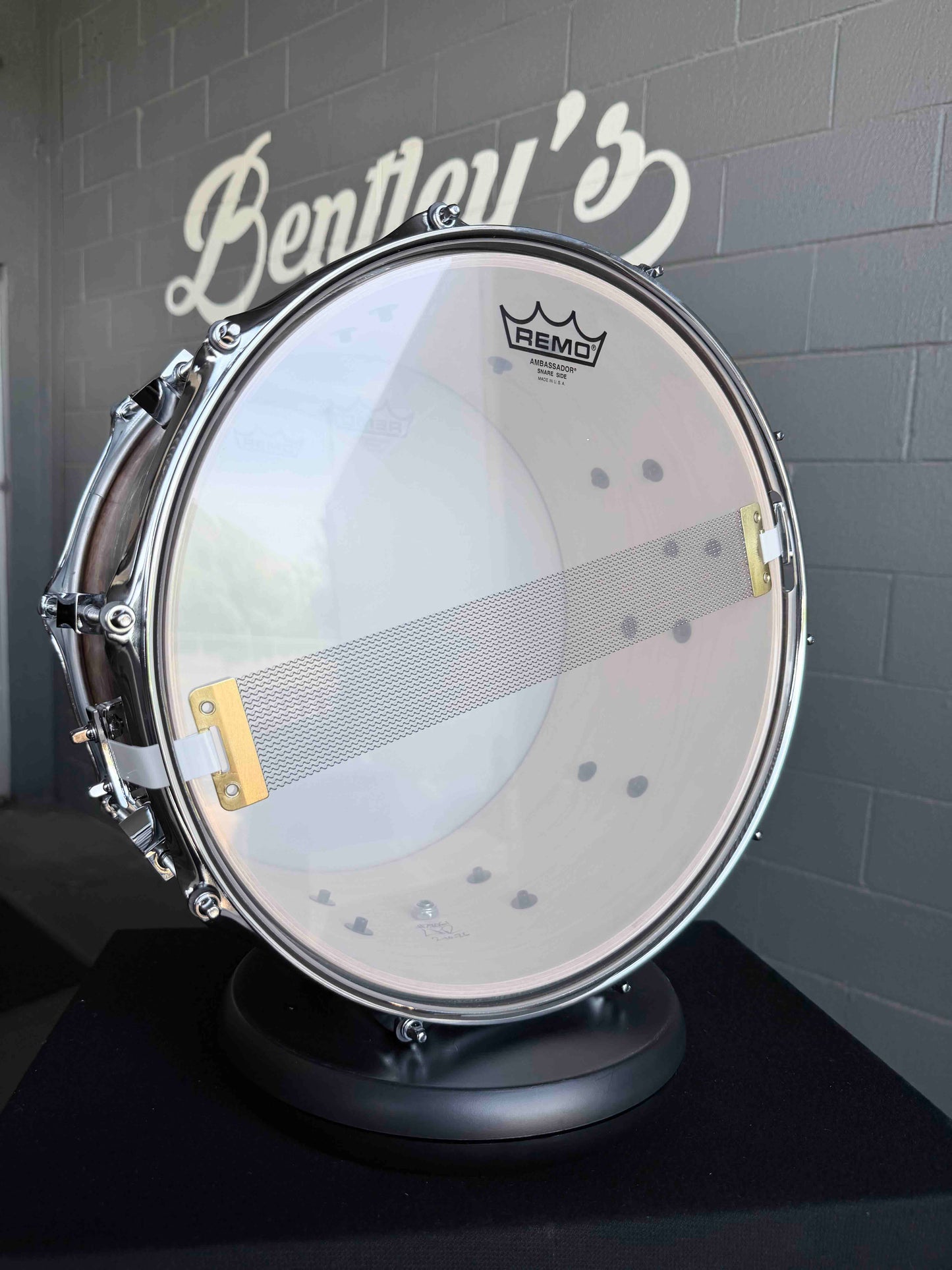~NEW!~ Pork Pie Decaf Macchiato Maple 8x14 Snare Drum in Satin Burled Walnut with Sapele Stripe