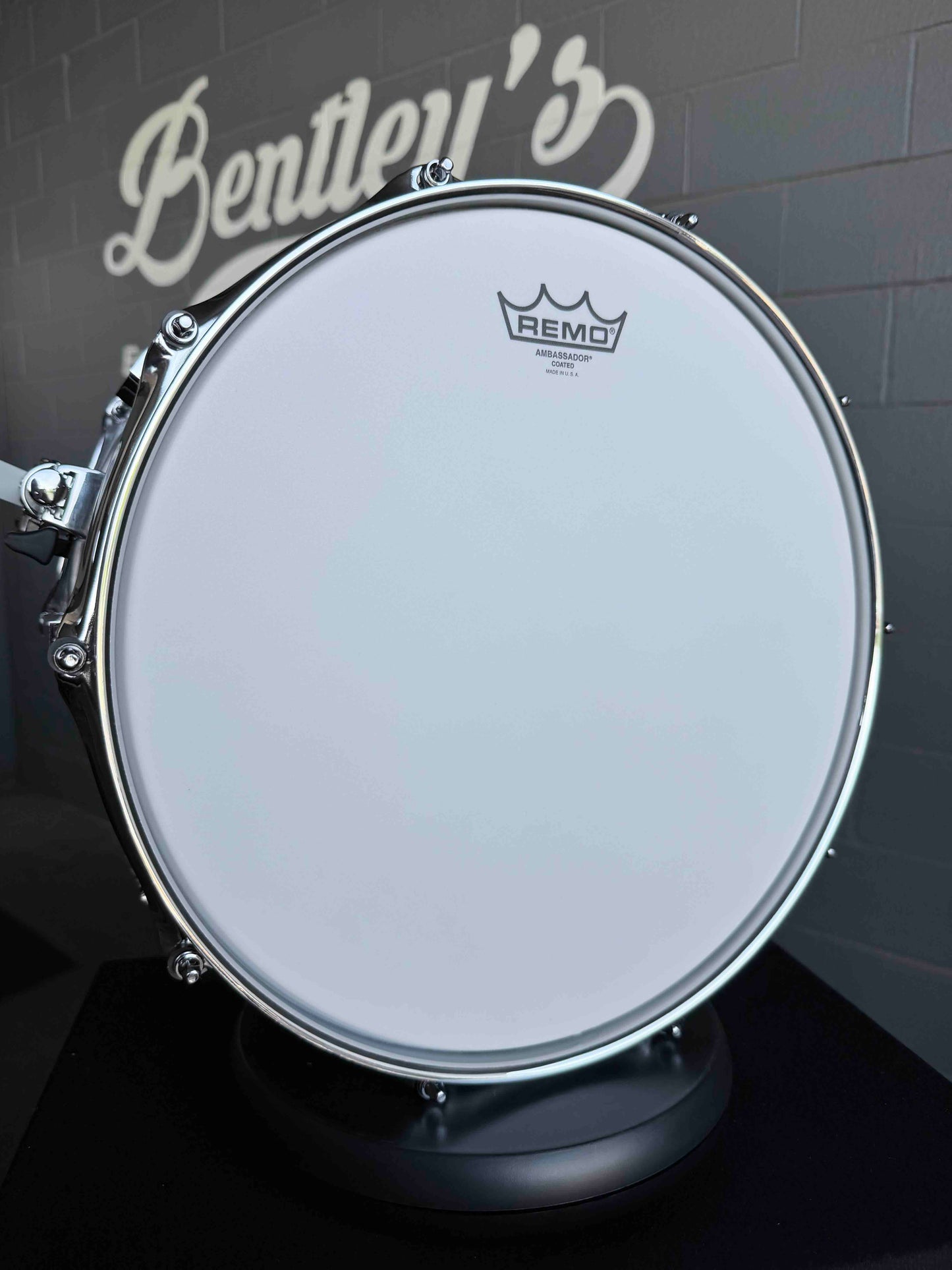~NEW!~ Pork Pie Decaf Macchiato Maple 8x14 Snare Drum in Satin Burled Walnut with Sapele Stripe