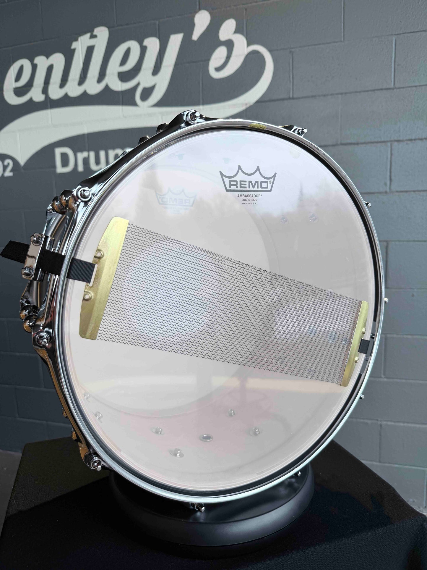 ~NEW~ Dixon Gregg Bissonette 'Big Bud' Signature 8x14 Walnut Snare Drum in Natural Satin