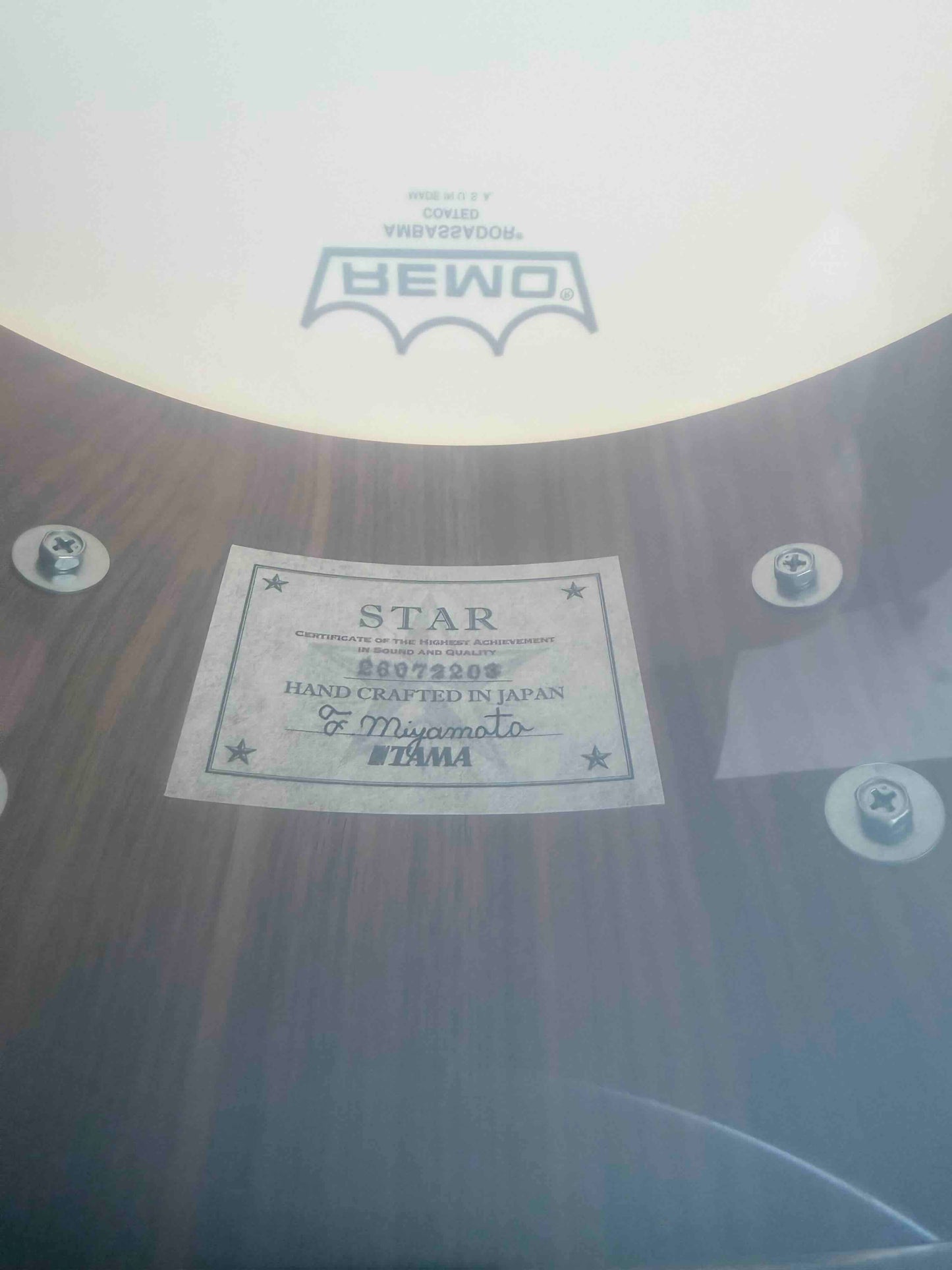 Tama STAR Walnut 8x14 Snare Drum in Grand Aqua Blue Lacquer (DH Rm 4)