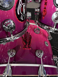 ~WOW!~ DW Collector's Mike Cosgrove of Alien Ant Farm's 8-Piece Custom Drum Kit Set