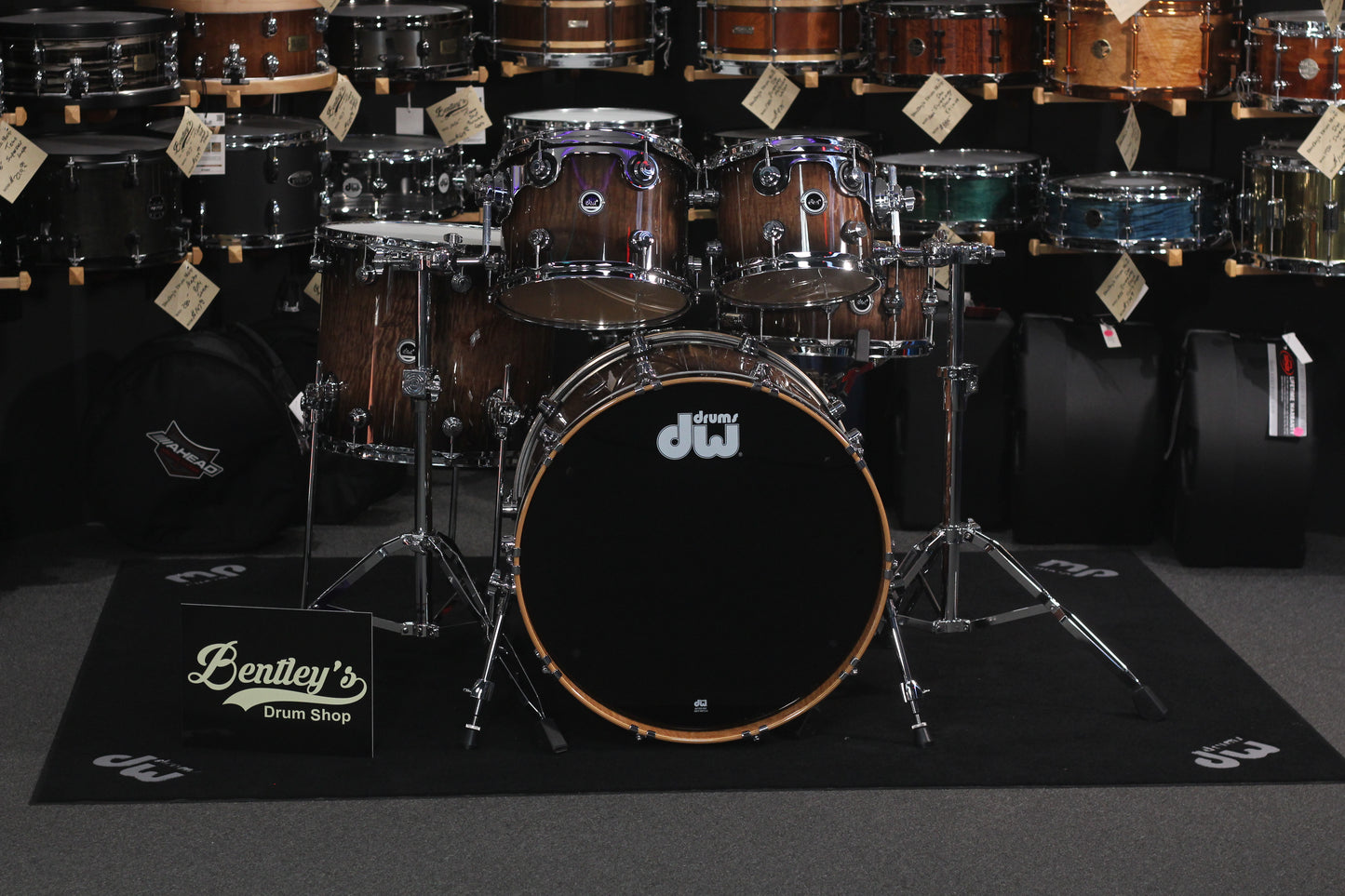 DWe Electronic Acoustic Exotic Drum Set Kit Shell Pack 10/12/16/22" with 14" Matching Snare in Curly Maple Exotic