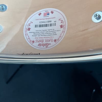 Batterie Ludwig Classic Maple FAB 13/16/22" en Lemon Oyster du NAMM 2023