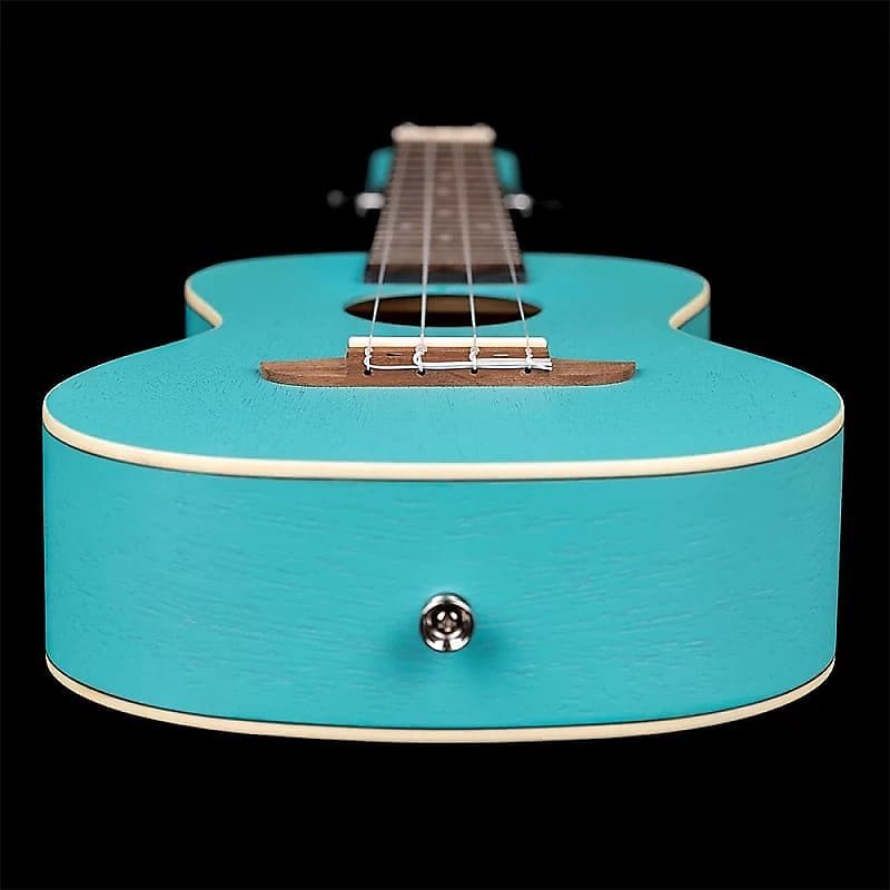 Ortega Guitars RULAGOON Earth Series Concert Ukulele in Lagoon Turquoise w/ Demo Video