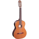 Ortega Guitars R190 Traditional Series Nylon String Acoustic Guitar w/ Bag & Video